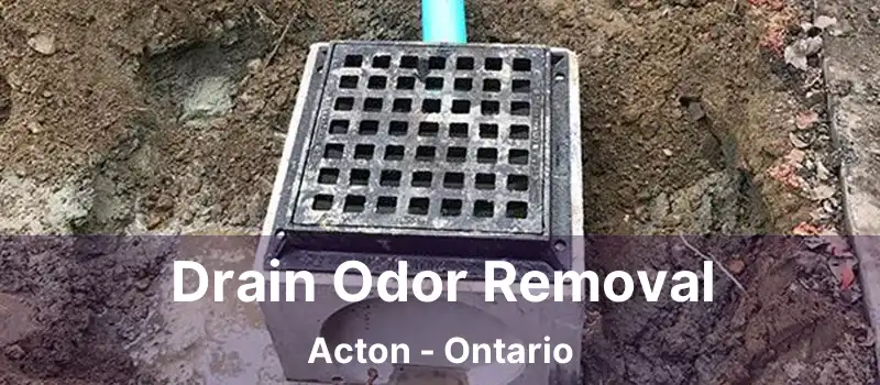  Drain Odor Removal Acton - Ontario